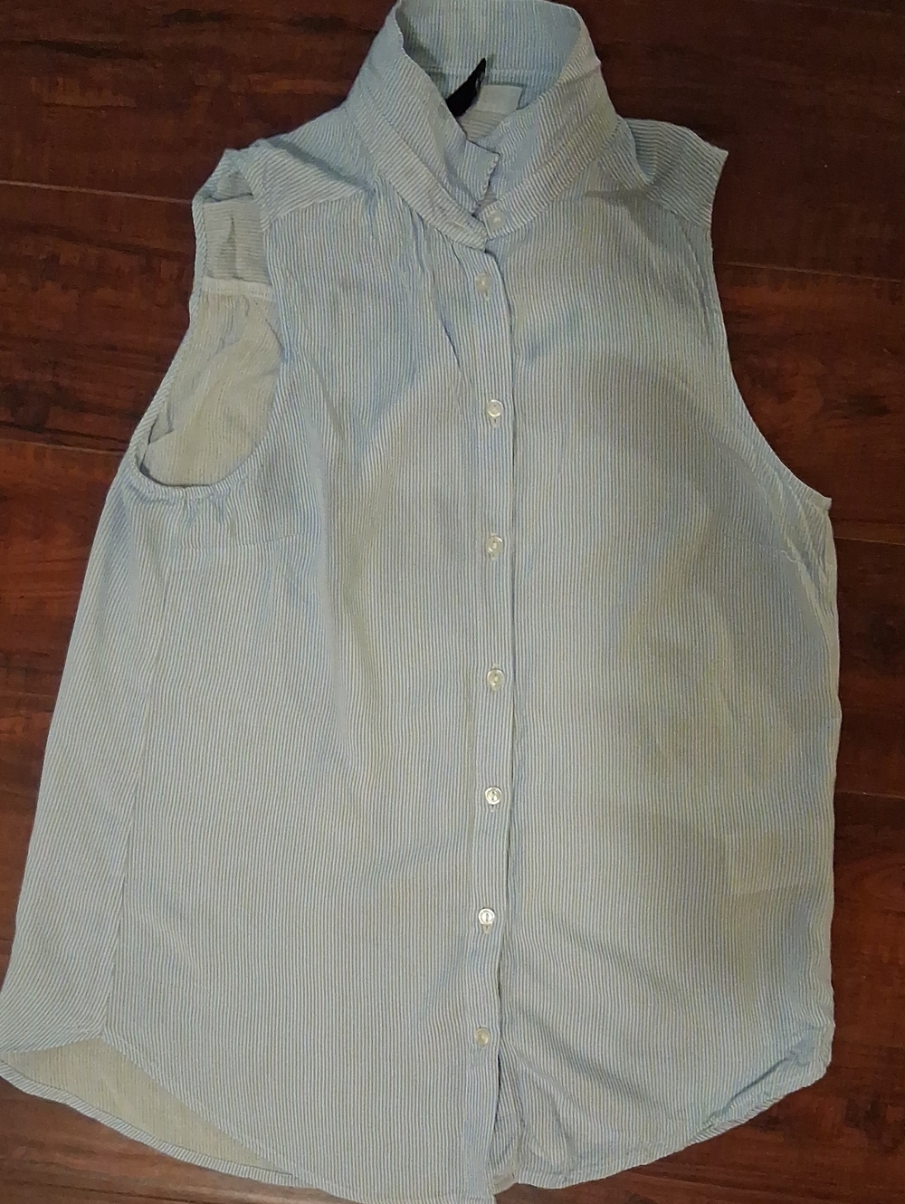 Sleeveless Button-Front Collared Top - Light Blue Pinstripe